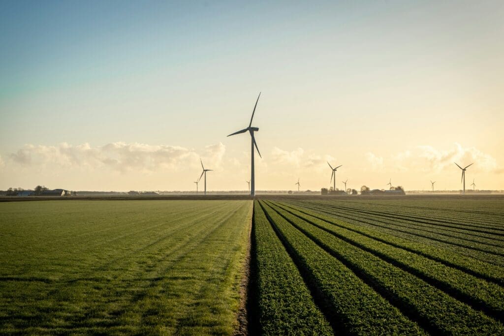 Wind turbines in a field with a sunrise in the background.